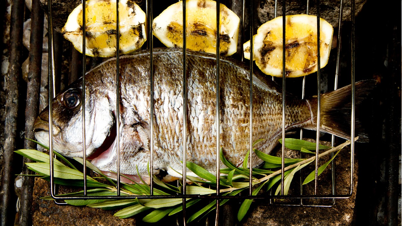 Grilled fish with lemon slices and herbs placed on a grill rack.