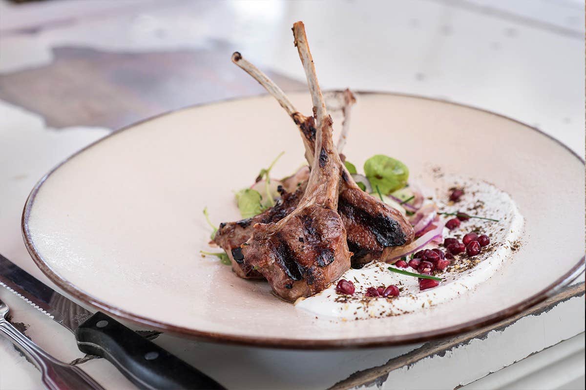 Plated lamb chops on a bed of leafy greens and red onions, garnished with pomegranate seeds and creamy sauce.