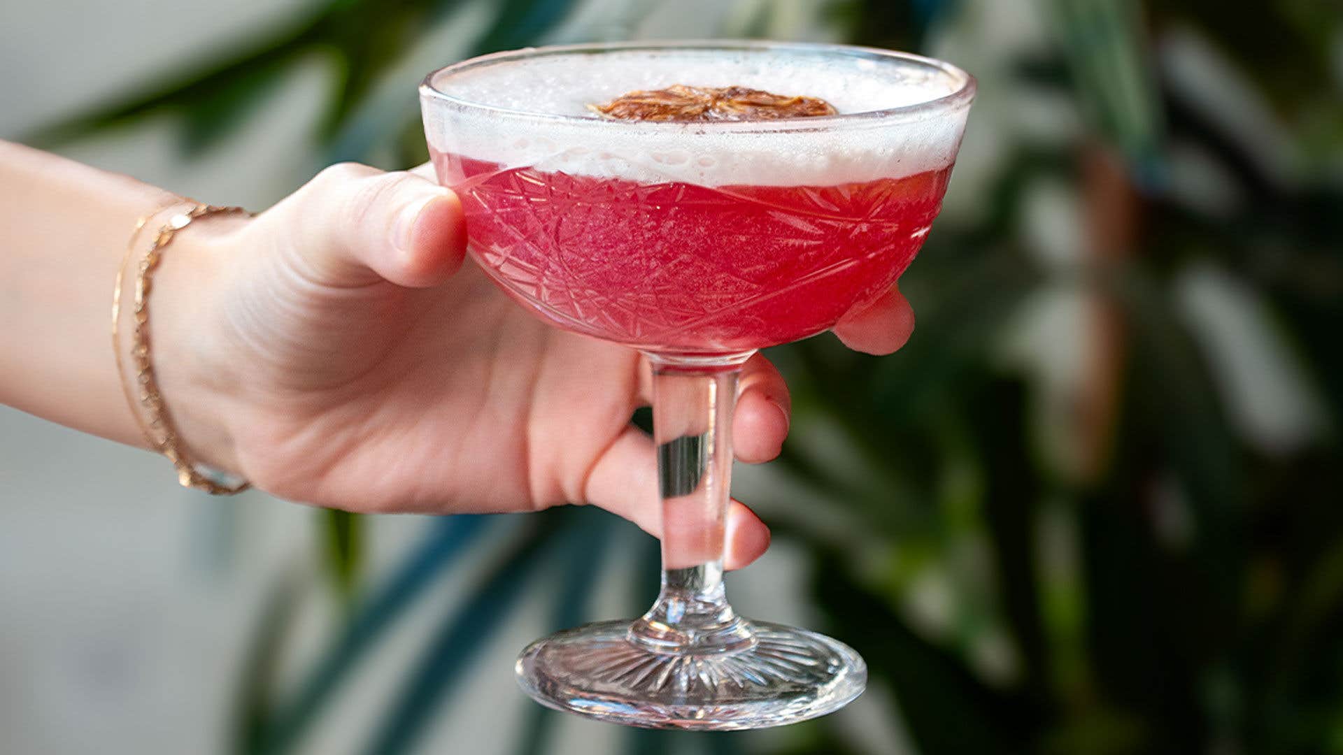 Hand holding a cocktail glass with Ladybird cocktail with a dried citrus garnish on top.