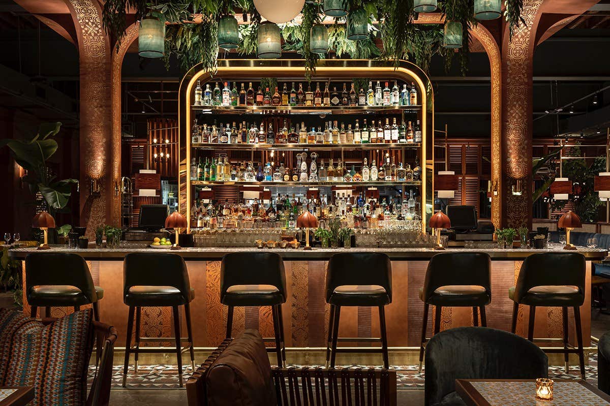 A stylish bar with high stools, a well-stocked backlit shelf of bottles, and lush greenery hanging from the ceiling.