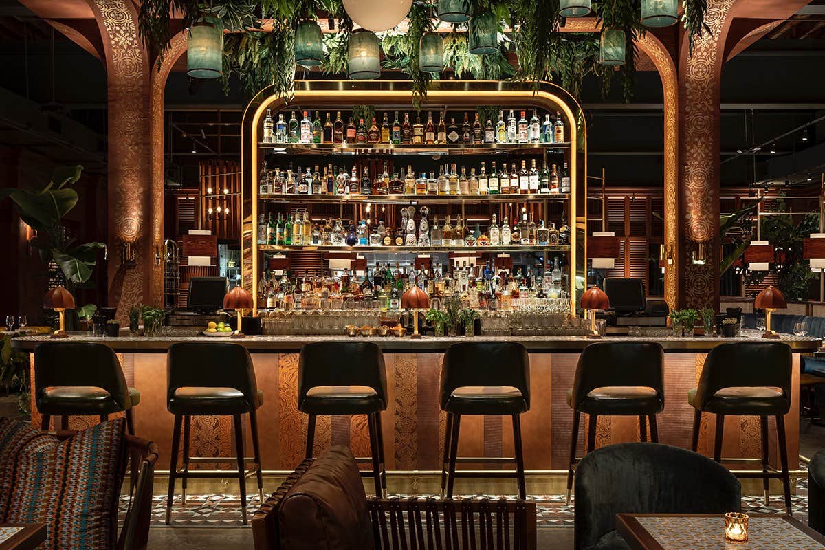 A stylish bar with high stools, a well-stocked backlit shelf of bottles, and lush greenery hanging from the ceiling.