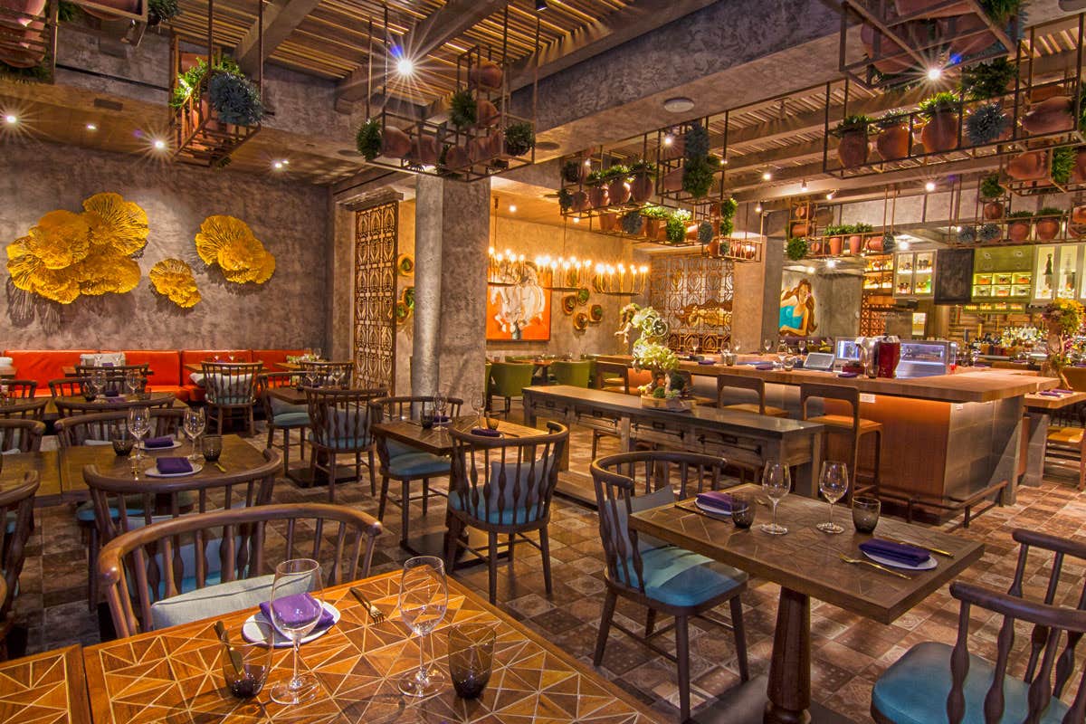 A warm, cozy restaurant interior with wooden tables, hanging plants, and decorative lighting creating a welcoming atmosphere.